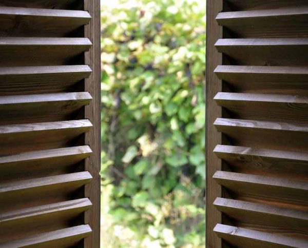 Dark Wooden Shutters Close-up And View Of The Garden